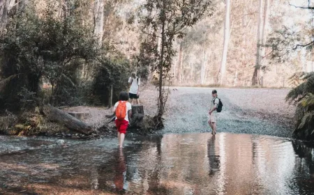 Pengelolaan DAS Lampung: Kunci Utama Pengendalian Banjir Berkelanjutan