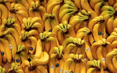 Makan Satu Pisang Setiap Hari: Manfaat dan Risiko yang Perlu Diketahui