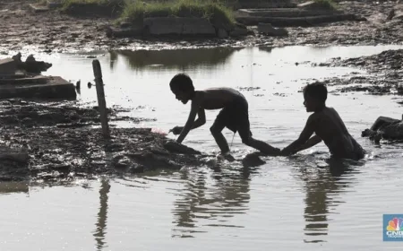 Ikan Lele, Favorit Warga RI yang Rentan Menyerap Racun Air