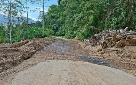 Jalur Aceh Timur-Gayo Lues Sudah Bisa Dilalui, Namun Rawan Longsor, Pengendara Wajib Waspada