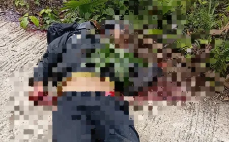 Dua Orang Tewas Diserang Kelompok Kriminal Bersenjata di Tambrauw Papua