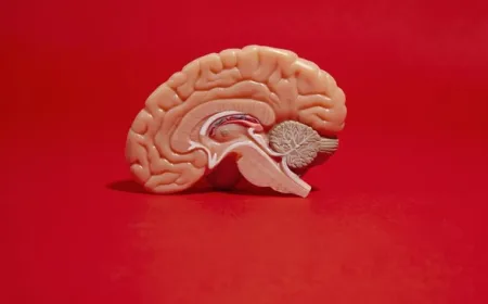 7 Kebiasaan Sederhana untuk Mencegah Pikun di Usia Muda yang Wajib Dicoba