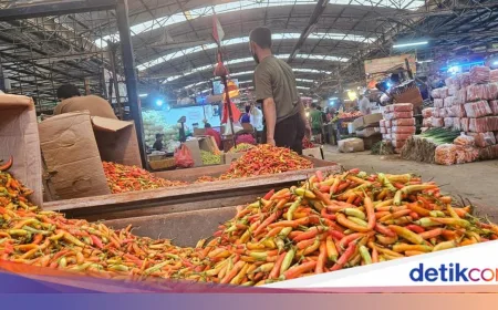 Harga Cabai Rawit Tembus Rp 120.000/Kg, Ini Penyebab Utamanya