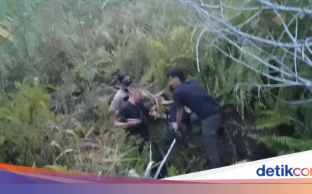 Anggota KKB Pembunuh Polisi Kabur dari Lapas Wamena Ditangkap di Yahukimo