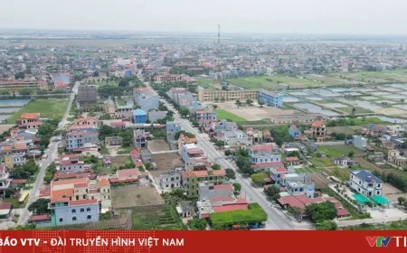 Kekacauan Informasi Properti Online Hambat Pembeli Rumah di Vietnam