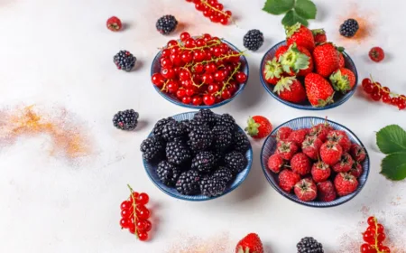 Diet MIND Terbukti Perlambat Penuaan Otak Hingga 2,5 Tahun, Ini Rahasianya