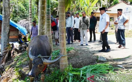 Bantuan Daging Kerbau Presiden Prabowo Ringankan Korban Banjir Nagan Raya Aceh