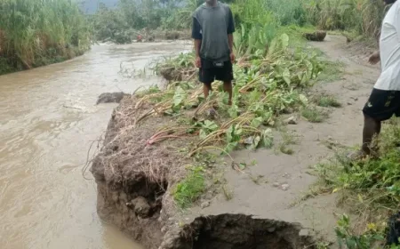 Banjir Luapan Kali Etagec Rendam Rumah dan Kebun Warga Asolokobal Jayawijaya