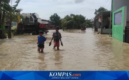 Banjir dan Kebakaran Hutan Jelang Lebaran 2026: Wilayah Mana Saja yang Terdampak?