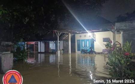 BNPB Imbau Waspada Potensi Bencana: Dari Banjir Hingga Karhutla Mengancam