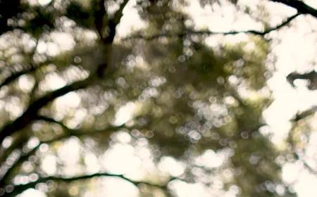 Anak Muda Silicon Valley Ciptakan Agen AI, Tapi Malah Cemas Kurang Waktu Bersama Teknologi