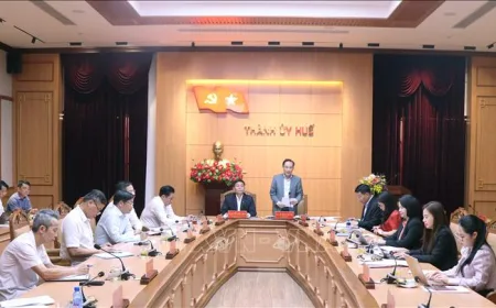 Draf Laporan Pemantauan Komite Tetap Partai Kota Hue Disetujui