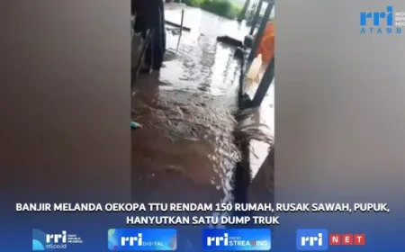 Banjir Oekopa Rendam 150 Rumah, 500 Jiwa Terkena Dampak Langsung