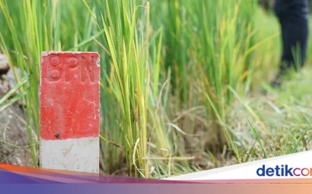 Pasang Patok Tanah Sekarang: Cara Efektif Cegah Konflik Antar Tetangga
