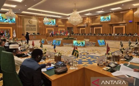 Komite HAM OKI Tegaskan Serangan Iran Langgar Hukum Internasional