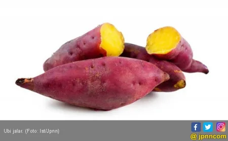 3 Makanan Kaya Antioksidan yang Efektif Cegah Berbagai Penyakit