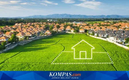 5 Ciri Tanah Bermasalah yang Wajib Diketahui Sebelum Beli Properti