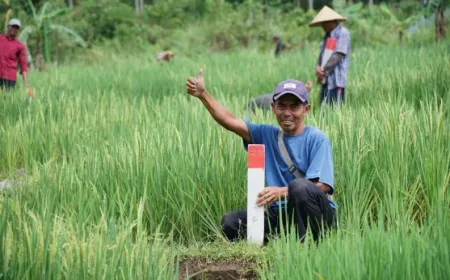 ATR/BPN Imbau Jaga Batas Tanah untuk Cegah Konflik dan Masalah Hukum