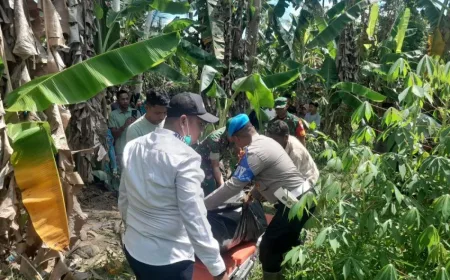 Mayat Korban Banjir Aceh Utara Ditemukan Kembali di Kebun Warga