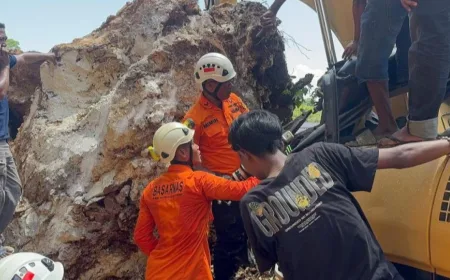 Sopir Ekskavator Tewas Terjepit Batu Longsor di Baubau, Proses Evakuasi Berhasil
