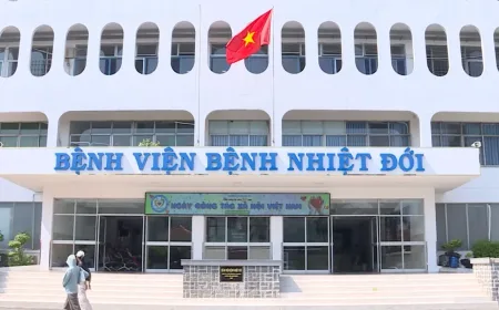 Kasus Meningitis Meningokokus di Kota Ho Chi Minh: Siswa Terinfeksi dan Penanganannya