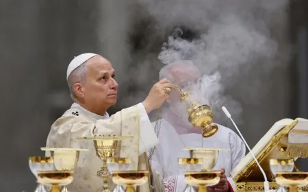 Vatikan Izinkan Umat Katolik Terima Donor Organ Hewan dengan Syarat Etis