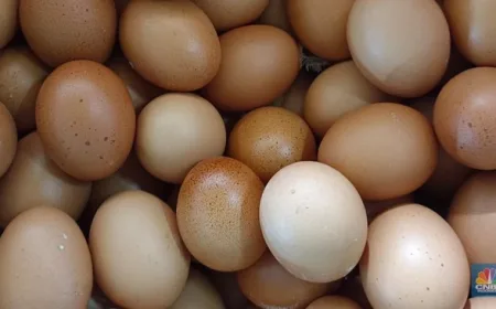 Harga Telur AS Melonjak 186% dalam Sebulan, Ini Penyebab dan Dampaknya