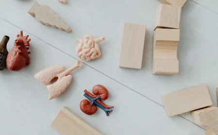 Penyakit Ginjal Kronis pada Anak Muda: Tanda Minim Gejala dan Penyebab Utama