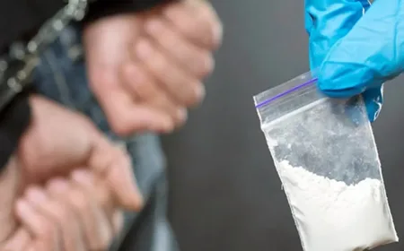 Satresnarkoba Polres Pasuruan Bongkar Jaringan Pengedar Sabu Madura dengan Barang Bukti 255 Gram