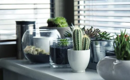 6 Barang yang Bisa Bawa Sial Jika Disimpan dalam Rumah Menurut Feng Shui