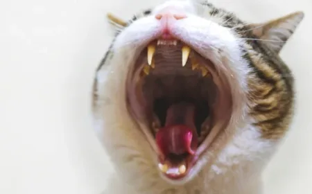 Sindiran Halus Lewat Meme: Tren Komunikasi Unik Gen Z di Media Sosial