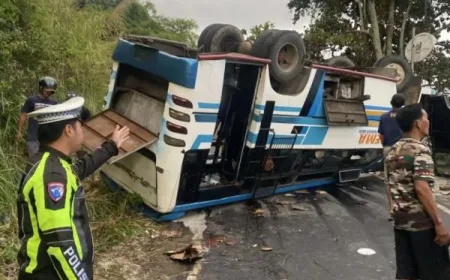 Kecelakaan Bus Terguling di Danau Ranau OKU Selatan, 28 Penumpang Luka
