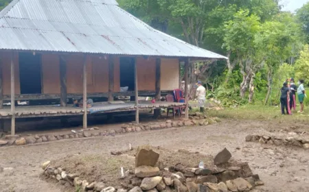 Leptospirosis Makan Korban di Sabu Raijua NTT: 4 Warga Meninggal Dunia