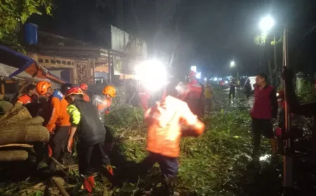 BPBD Kota Malang Tangani Pohon Tumbang dan Banjir Akibat Cuaca Ekstrem
