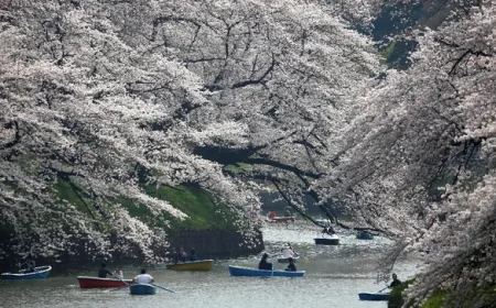 Liburan ke Jepang Makin Mahal, Turis Asing Kini Wajib Bayar Pajak dan Daftar Elektronik