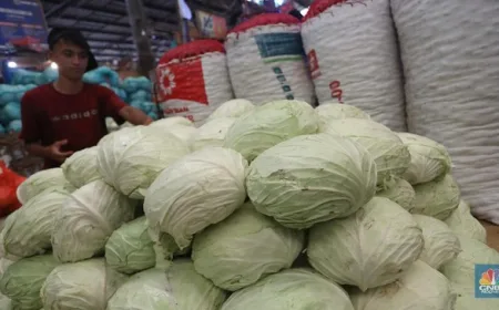 5 Golongan Orang yang Harus Hindari Sayur Kol dan Dampaknya bagi Kesehatan