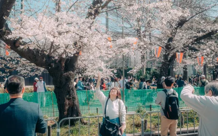 Kapan Bunga Sakura Jepang Mekar? AI Bisa Menjawab dengan Akurat