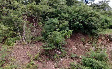 Banjir dan Longsor Sebabkan Tanah Kurang Subur, BRIN Ungkap Penyebabnya