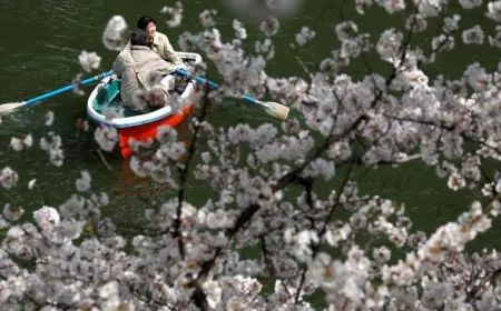 Biaya Visa Jepang Naik Mulai 1 April 2026, Cek Harga Terbaru dan Cara Pengajuan