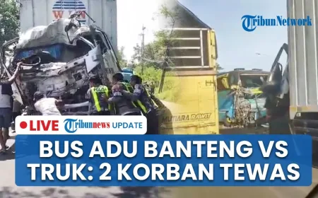 Kecelakaan Maut Bus Adu Banteng Vs Truk di Situbondo: Ayah dan Anak Tewas