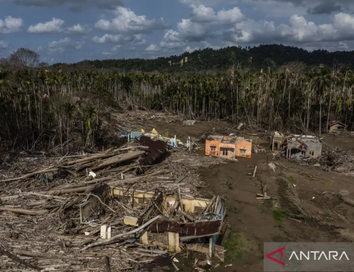 Jalur pulang sang pembalak liar
