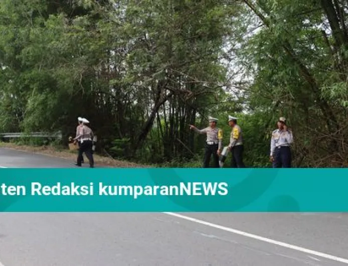 Jalur Mudik di DIY Rawan Longsor dan Pohon Tumbang, Waspada Cuaca Ekstrem