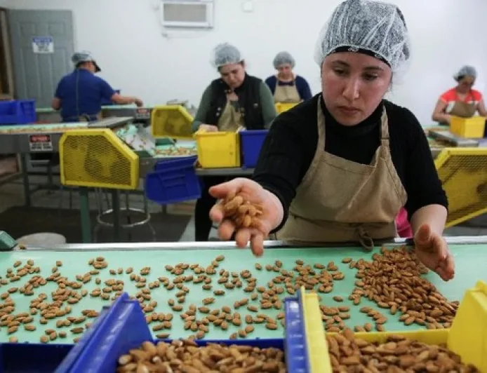 Konsumsi Kacang Rutin Turunkan Risiko Mati Muda Akibat Penyakit Jantung