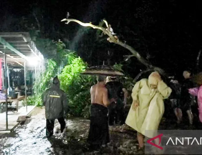 Banjir Luapan Sungai Curah Udang Rendam Puluhan Rumah di Situbondo