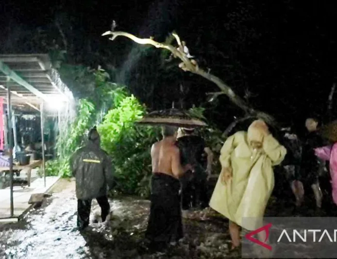 Banjir Luapan Sungai Curah Udang Rendam Puluhan Rumah di Situbondo