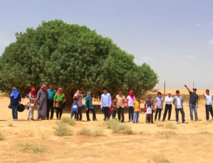Pohon Sahabi di Yordania, 'Sahabat' Nabi Muhammad yang Masih Hidup Lebih 1400 Tahun