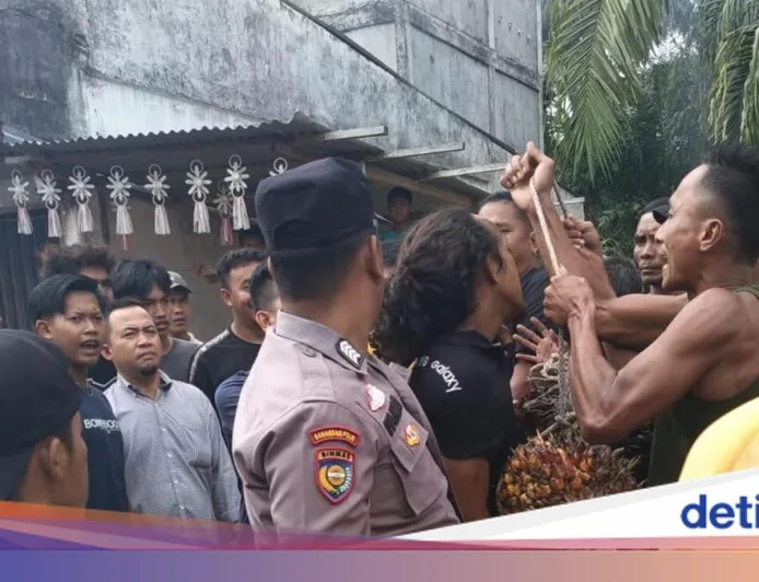 Ninja Sawit di Rokan Hulu Diarak Keliling Kampung Usai Beraksi Siang Bolong