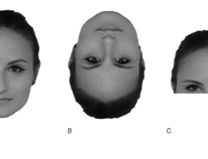 Studi Ungkap Perbedaan Wajah Orang Kaya dan Miskin dari Ekspresi Wajah