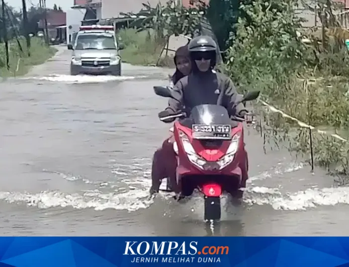 Banjir Lama di Lamongan: 44 Desa Terendam dan Jalan Provinsi Lumpuh Total