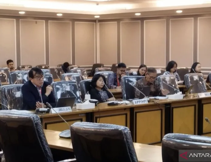 RUU HPI Atur Konser Artis Internasional hingga Perkawinan WNI di Luar Negeri